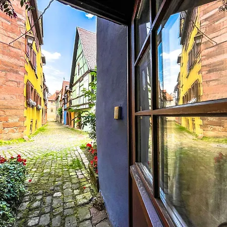 Cozy In The Medieval Walls